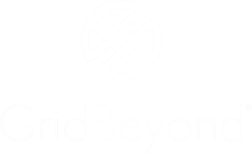  GridBeyond 